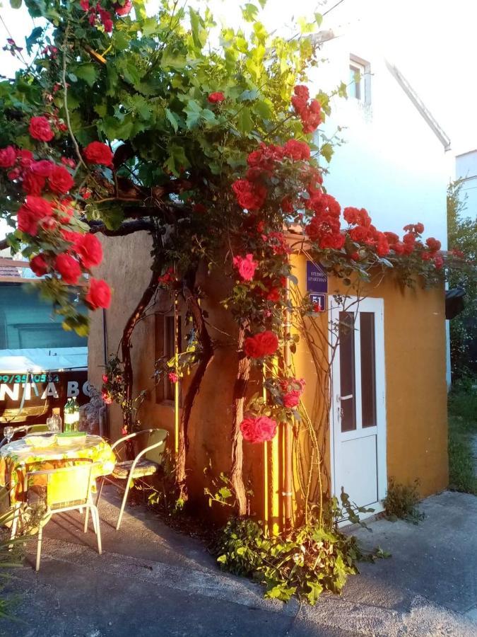 Apartmán Marinja Studio Žuljana Exteriér fotografie